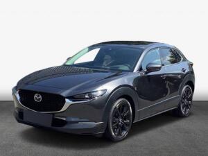 Mazda CX-30  2.0 M HYBRID SELECTION 360° Monitor Bose