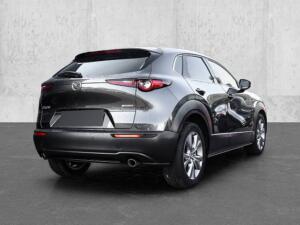 Mazda CX-30 Selection 2WD 2.0 SKYACTIV-G M Hybrid EU6d HUD Navi Leder Memory Sitze LED ACC