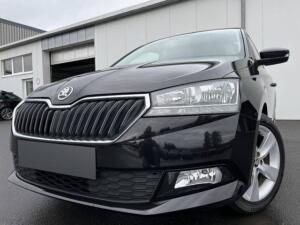 Skoda Fabia 1.0 Active DAB PDC SHZ Klima USB