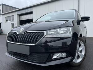 Skoda Fabia 1.0 Active DAB SHZ PDC Klima ISOFIX USB