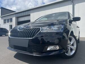 Skoda Fabia 1.0 Active SHZ DAB PDC Klima