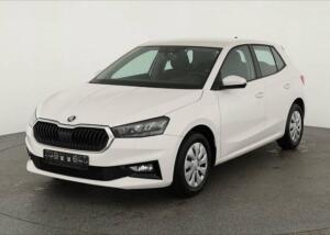 Skoda Fabia 1.0 TSI Ambition Plus, AppConnect, LED, 5 Jahre Garantie