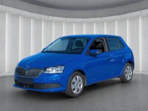 Skoda Fabia Ambition 1.0*Tempom PDC Smart-Link Bluetoo