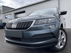 Skoda Karoq 2.0 TDI Style AHK Navi DAB SHZ PDC Klima