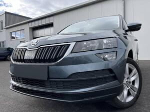 Skoda Karoq 2.0 TDI Style Navi DAB SHZ PDC Klima