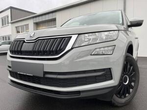 Skoda Kodiaq 2.0 TDI DSG Active AHK PDC Klima USB Front Assist