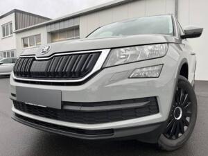 Skoda Kodiaq 2.0 TDI DSG Active PDC Klima USB Front Assist