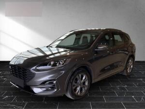 Ford Kuga ST-Line leichter Hagelschaden Bluetooth Navi