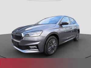 Privat: Skoda Fabia 1.0 TSI DSG Selection LED NAVI SMART-LINK SITZH