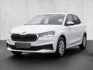 Skoda Fabia Active LED FLA W-PAKET PDC SPURH