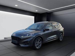 Ford Kuga 2.0 EcoBlue Aut. ST-LINE X Pano AHZV ACC