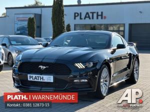 Ford Mustang  USA Shelby Optik
