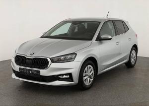 Skoda Fabia 1.0 TSI Selection, Navi, LED, 16-Zoll, 5-J Garantie