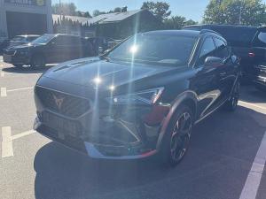Cupra Formentor 1.5 TSI DSG, Navi, AHK, el. Klappe, Kamera