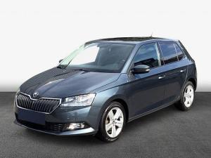 Skoda Fabia 1.0 TSI Ambition PDC v+ h + Rückfahrcam