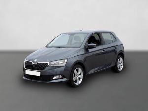 Skoda Fabia Cool Plus 1.0TSI*SHZ PDC Klima Blueto Alu