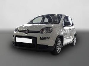 Fiat Panda Mild Hybrid City Paket Gelato Weiß