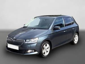 Skoda Fabia 1.0 TSI Ambition PDC v+ h + Rückfahrcam