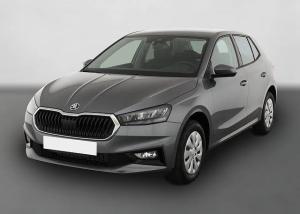 Skoda Fabia 1.0 TSI Selection, Tempomat, Park, Klima, SmartLink, 4-J Garantie