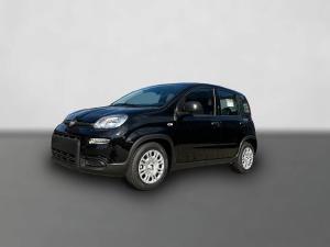 Fiat Panda Neues Modell 1.0 *5 Sitzer Klima PDC DAB*