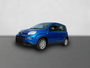Fiat Panda Neues Modell 1.0 *5 Sitzer Klima PDC DAB*