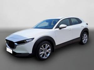 Mazda CX-30 *Navi*Head-Up*DAB*ACC*Rcam*SHZ*1.Hand*PDC*