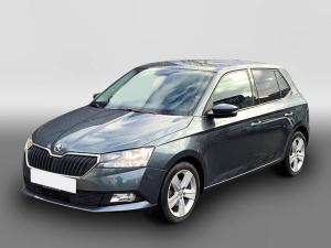 Skoda Fabia 1.0 TSI Ambition PDC v+ h + Rückfahrcam