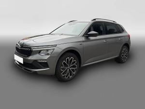 Skoda Kamiq 1.0 TSI DSG Selection REAR VIEW LED NAVI SHZ