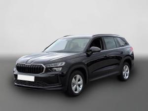 Skoda Kodiaq Selection TDI*DSG StandHzg ACC Navi R-Kam