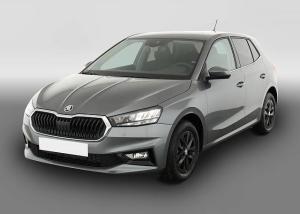 Skoda Fabia 1.0 TSI Selection, Winter, Climatronic, 15-Zoll, Ladeboden