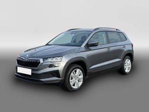 Skoda Karoq Selection TDI DSG|TOTWINKEL|NAV|KAMERA|ACC