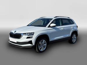 Skoda Karoq Selection TDI DSG|TOTWINKEL|NAV|KAMERA|ACC