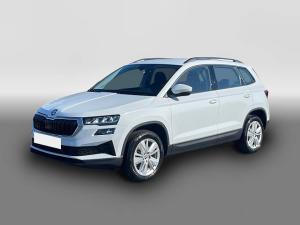 Skoda Karoq Selection TSI DSG|NAVI|KAMERA|VORB.AHK|SHZ