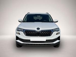 Skoda Karoq Selection TDI DSG|TOTWINKEL|NAV|KAMERA|ACC