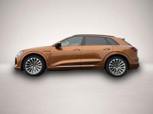 Audi e-tron 55 S-Line 21 Zoll Optikpaket Bremse orang