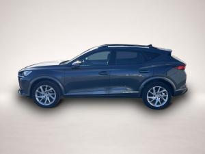 Cupra Formentor 2.0 TDI 4Drive DSG 175¤ m.20% Anz. Nav