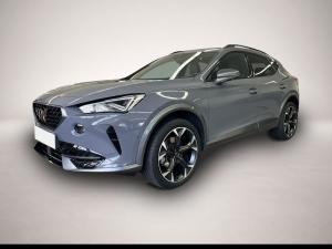 Cupra Formentor 2.0 TSI DSG 4Dr AB365EUR AHK PANO NAVI
