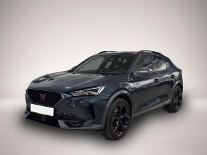 Cupra Formentor 2.0 TSI DSG 4Drive VZ LED NAVI PANO 19