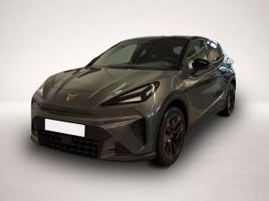 Cupra Raval Endurance MATRIX-LED+NAVI+KAMERA+19