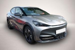 Cupra Tavascan Endurance 77 kWh Endurance Nav SHZ Par.