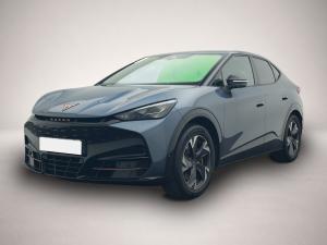 Cupra Tavascan Endurance RFK WÄPU eHeck NAVI
