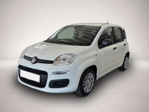 Fiat Panda Pandina 1.0 48 kW Icon Digitales Cockpit DAB Spu