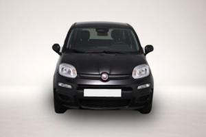 Fiat Panda Pandina Icon (Pandina Icon) 1.0 Mild-Hybr.