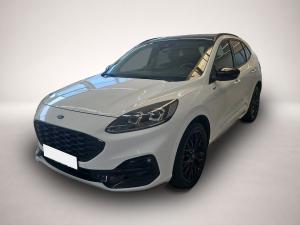 Ford Kuga ST-Line X Allrad / Ganzjahresreifen Bluetoo