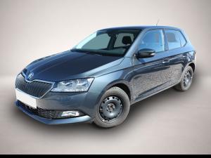 Skoda Fabia 1.0 TSI 110 DSG Ambition Nav PDC SHZ