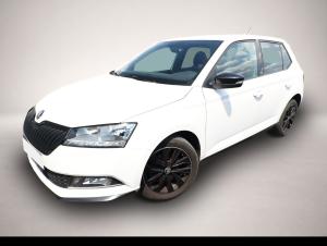Skoda Fabia 1.0 TSI 110 Monte Carlo SHZ PDC Kam SmartL