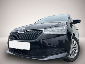 Skoda Fabia Combi 1.0 TSI Ambition 87¤ m.205 Anz. SHZ