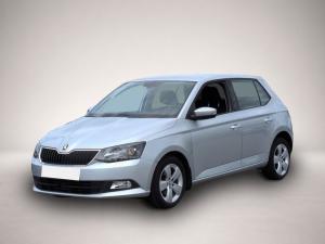 Skoda Fabia Style 1.0TSI*Tempo SHZ PDC Smart-Link Alu