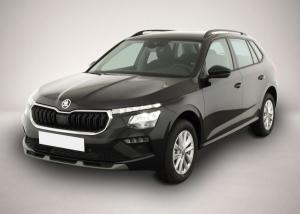 Skoda Kamiq 1.0 TSI DSG Selection, LED, Kamera, Winter
