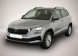Skoda Karoq 1.5 TSI DSG Selection, AHK, LED, Kamera, W